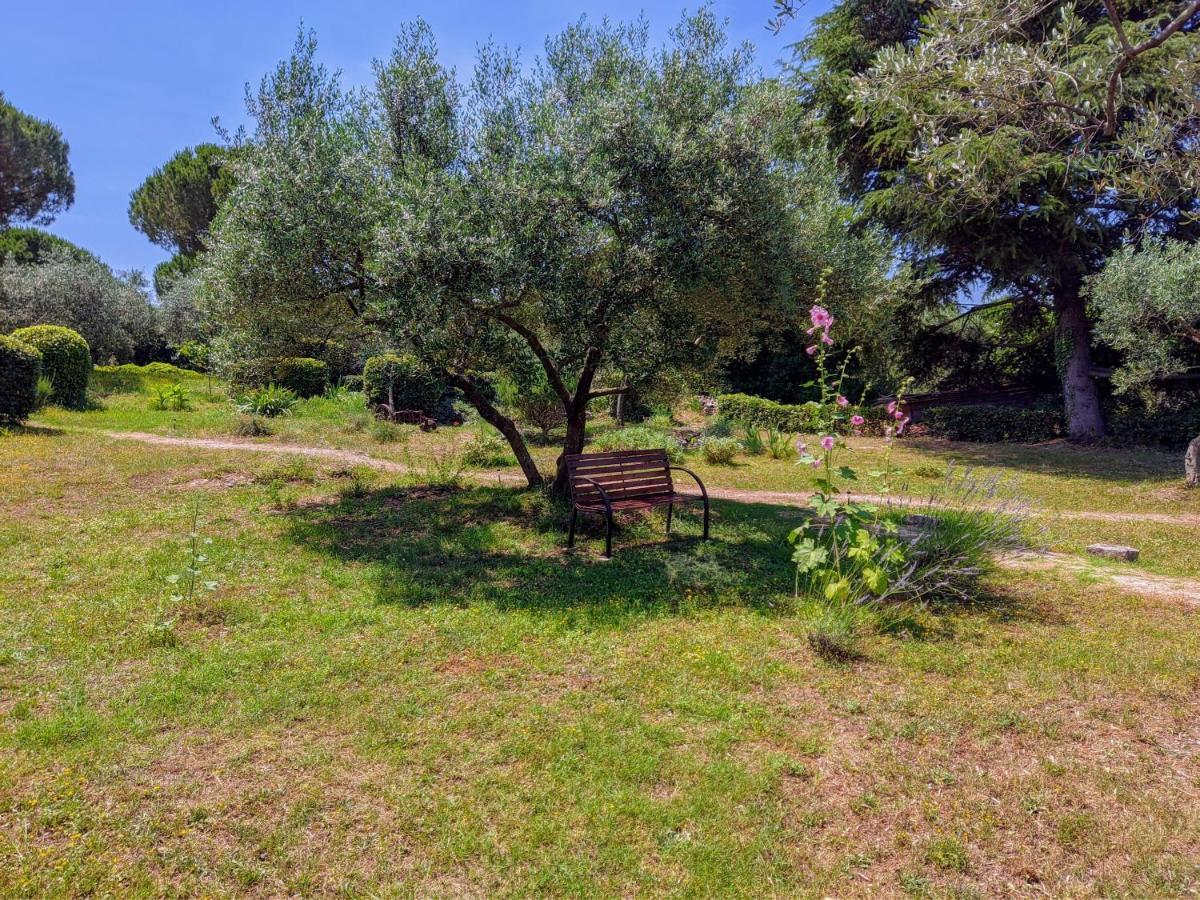 Apartment Rosa 1 Rovinj Eksteriør billede